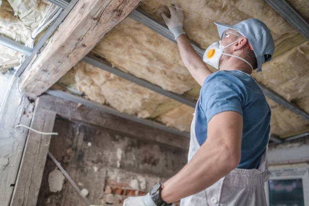Best Insulation Contractors for Homes  in Elmira Heights, NY
